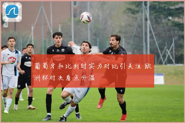 葡萄牙和比利时实力对比引关注 欧洲杯对决看点升温