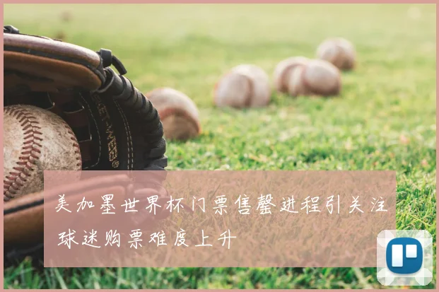 美加墨世界杯门票售罄进程引关注 球迷购票难度上升