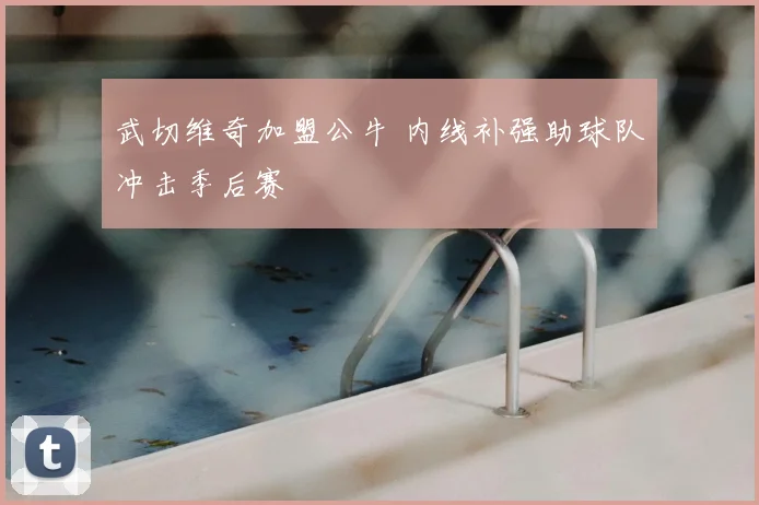 武切维奇加盟公牛 内线补强助球队冲击季后赛