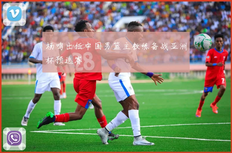 杨鸣出任中国男篮主教练备战亚洲杯预选赛