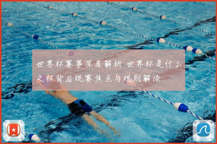 世界杯赛事深度解析 世界杯是什么之杯背后观赛焦点与规则解读